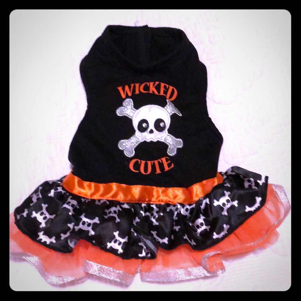 Dog Halloween costume